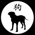 220px ombre chinoise chien